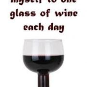 Lahev se sklenicí na víno 2v1 Lahev se sklenicí na víno 2v1