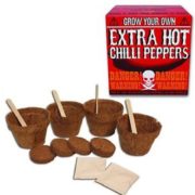 Grow your own - Chilli